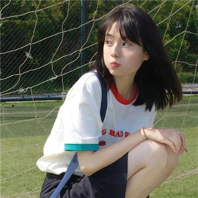 白鸥啊 不要飞起来